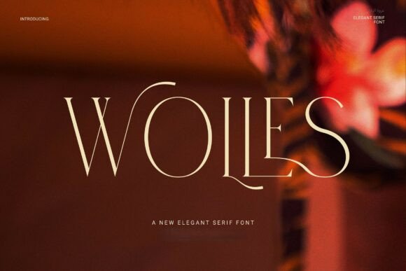 Wolles Elegant Modern Serif Font Review
